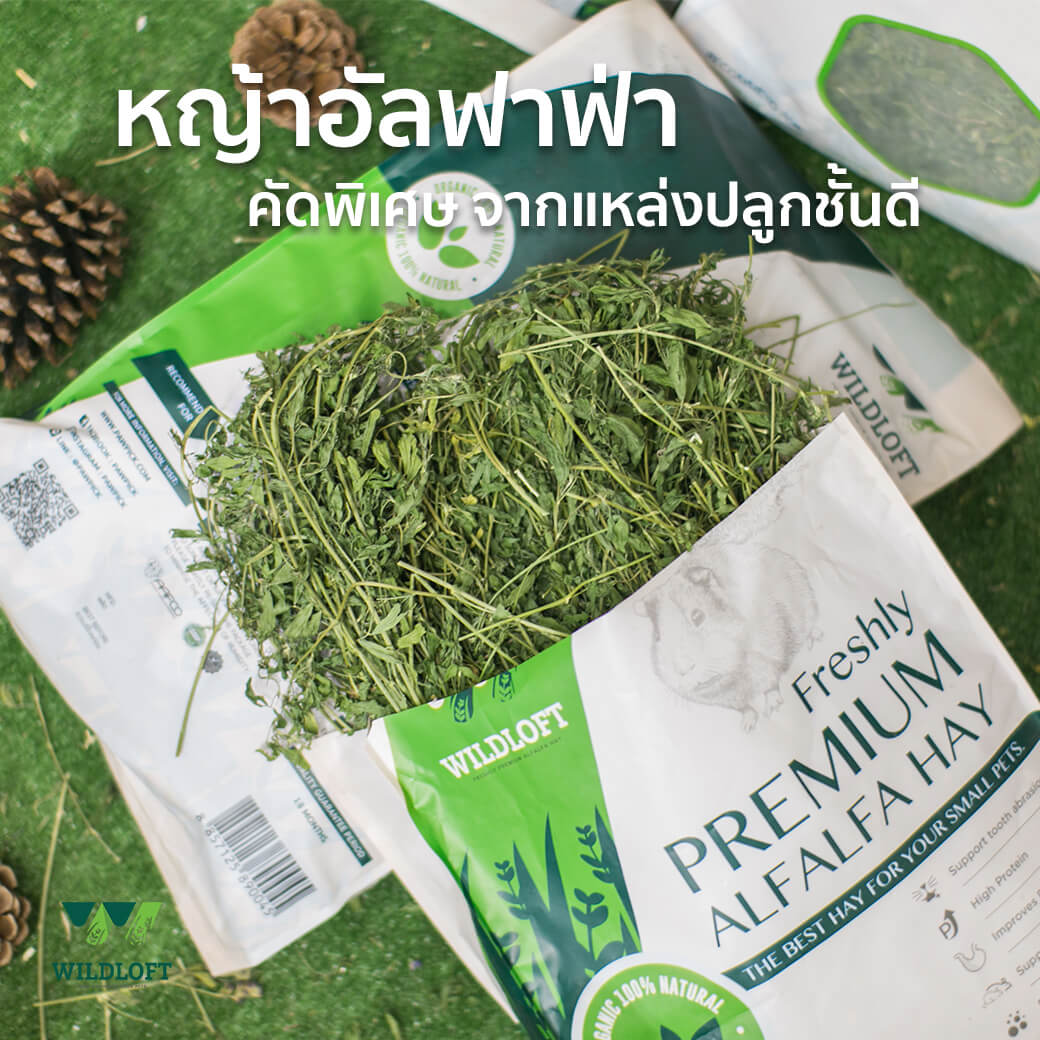 Wildloft Freshly Premium Alfalfa